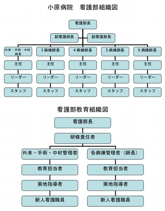 看護婦組織図1